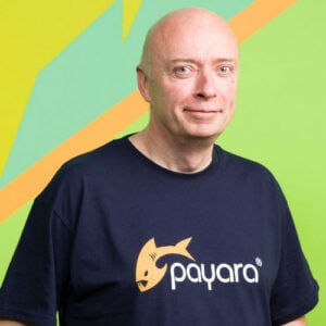 Steve Millidge, CEO of Payara Services