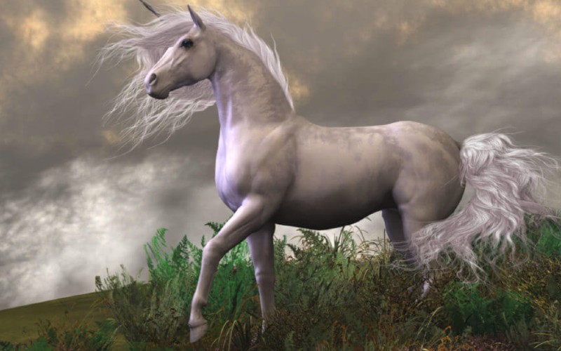 Unicorn